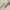 MR NAIL Natural Series Nail Brushes featuring triangular anti-roll wooden handles and precise Toray bristles.